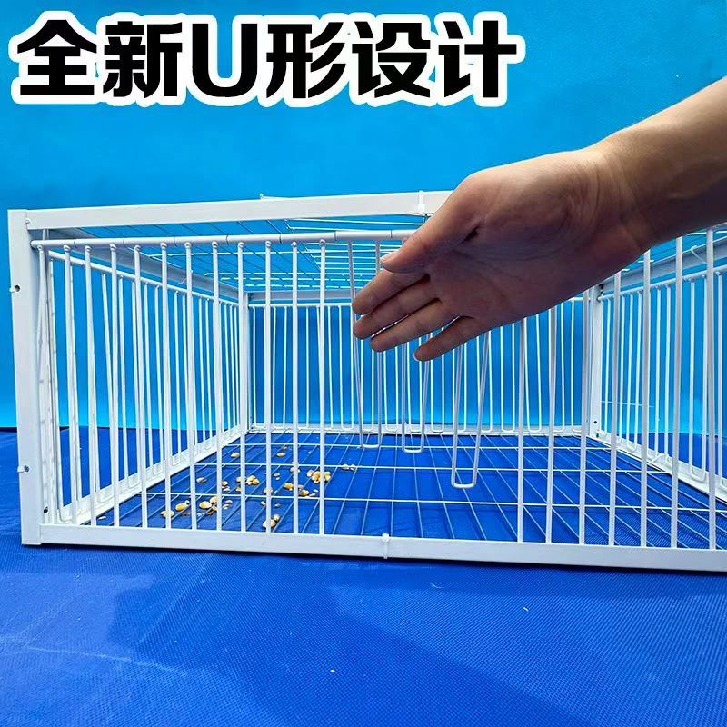 天落笼鸽笼只进不出鸽子笼鸽子活络撞门笼自动收鸽鸽子笼鸽子神器