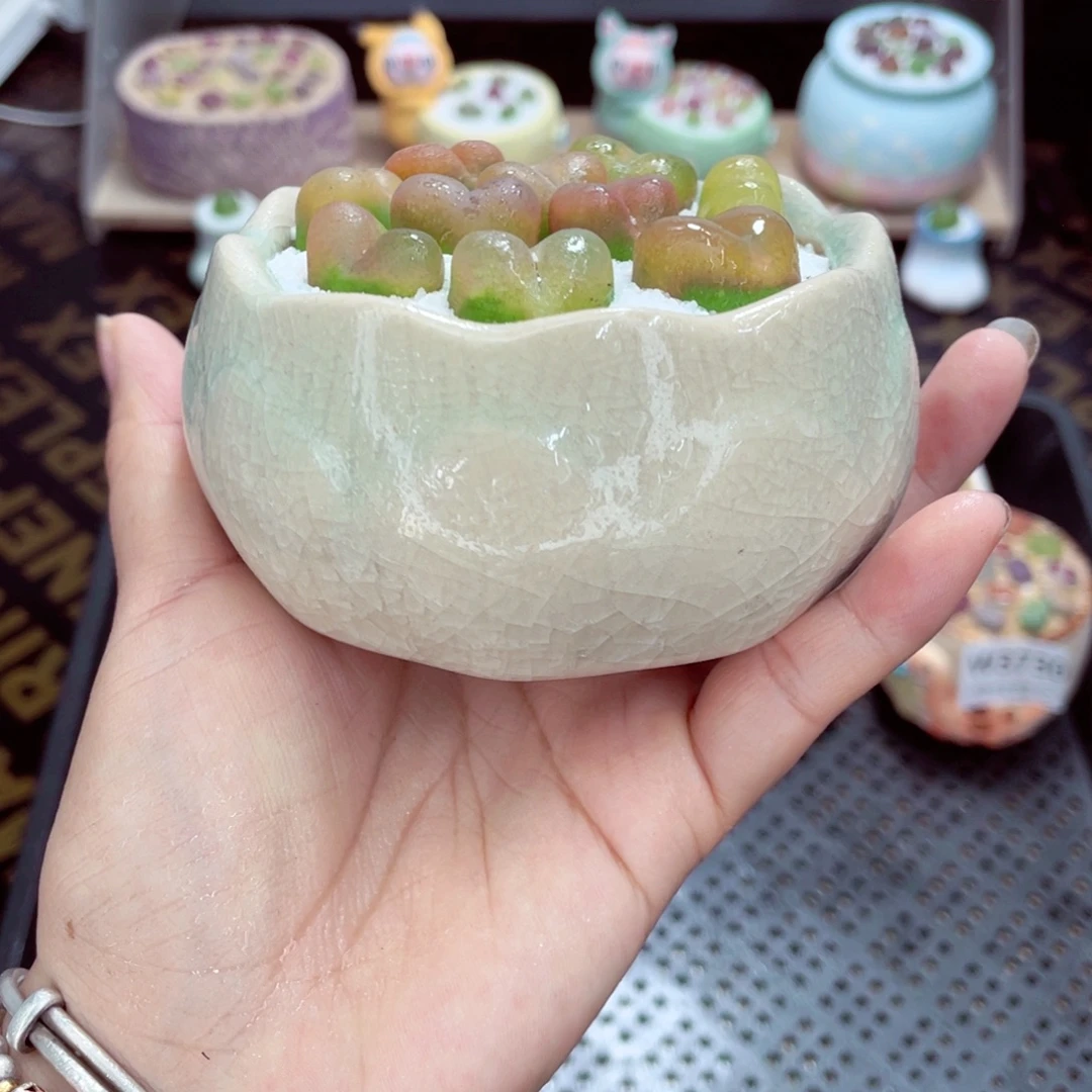 w3735 带盆土发货一物一拍