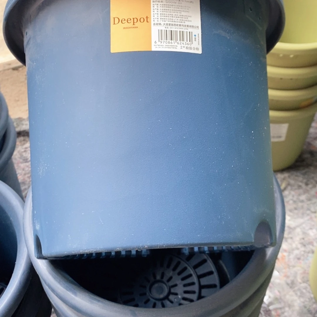 树脂5个爱丽丝7号蓝色无托