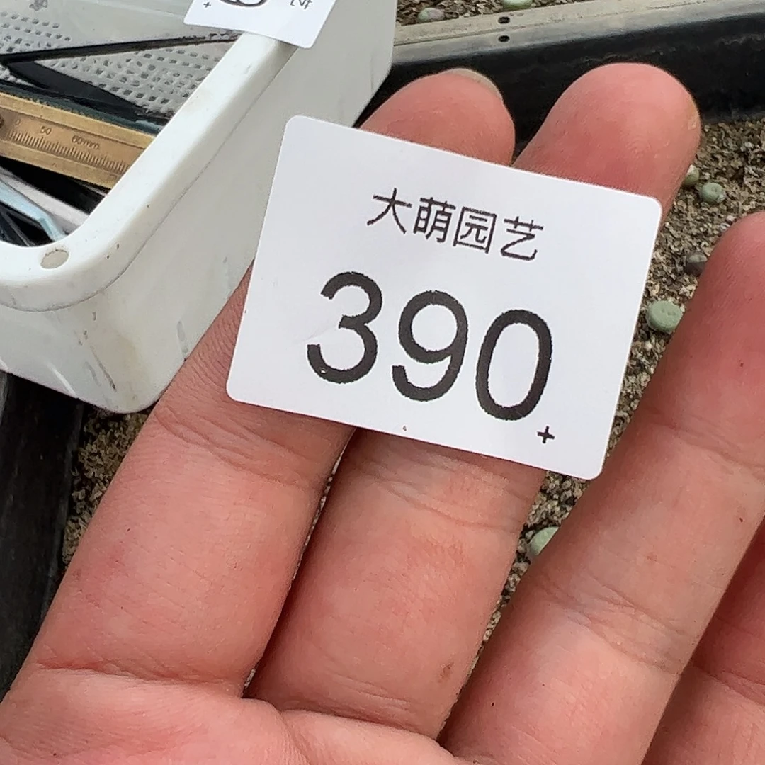 N***）一物一拍。       390