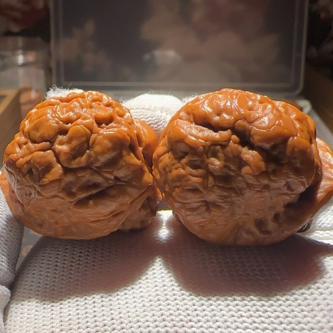 把件文玩核桃古柏金蟾花肚