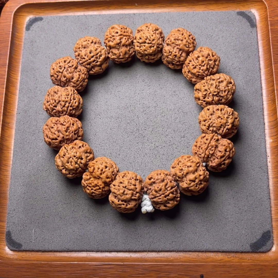 菩提4号金刚菩提梅花蜂窝豆腐块24