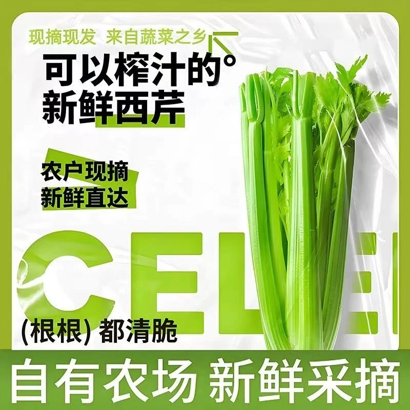 【榨汁专用9斤装】山东西芹农家露天种植现挖现发脆嫩多汁水果西芹