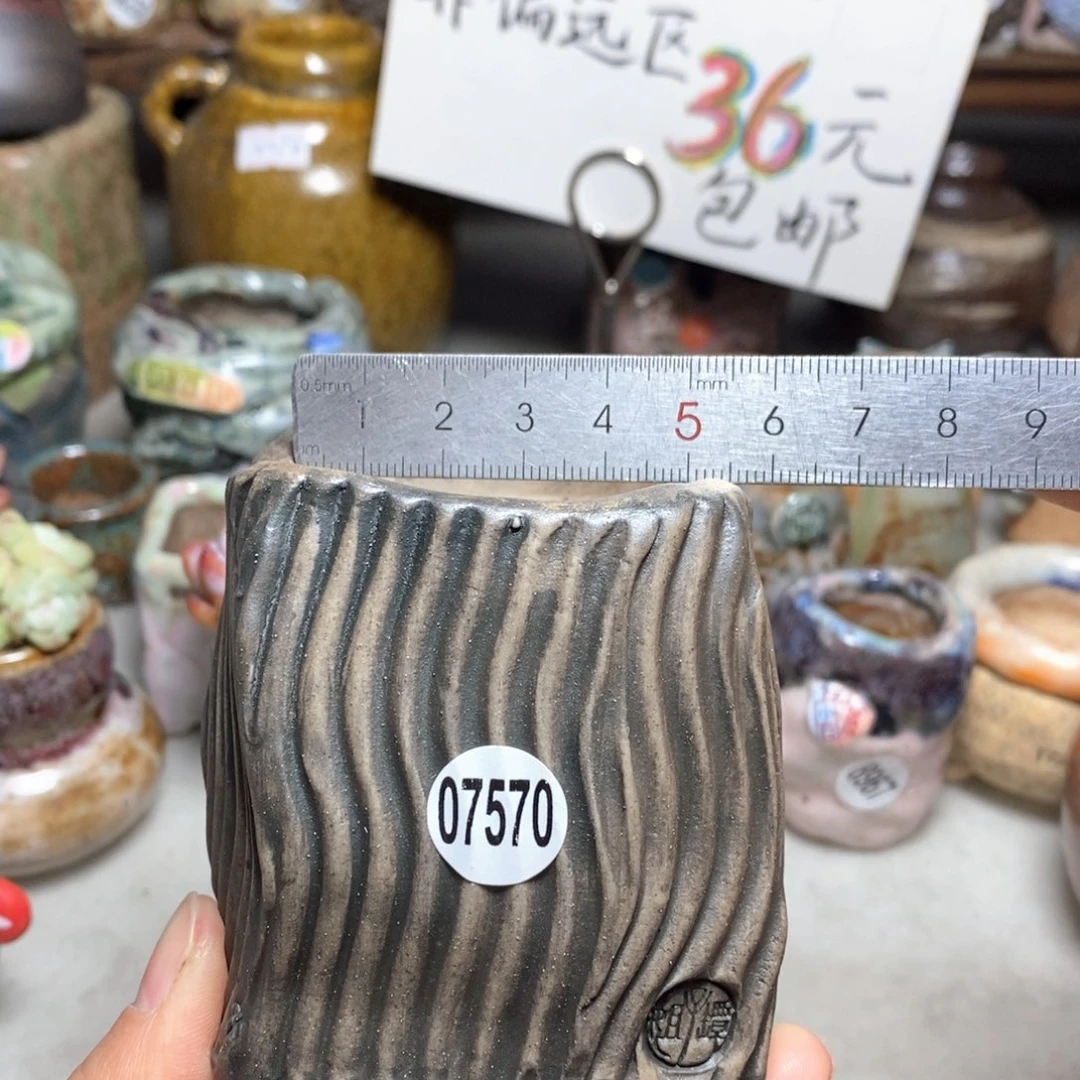 花盆拍3送一个小礼物