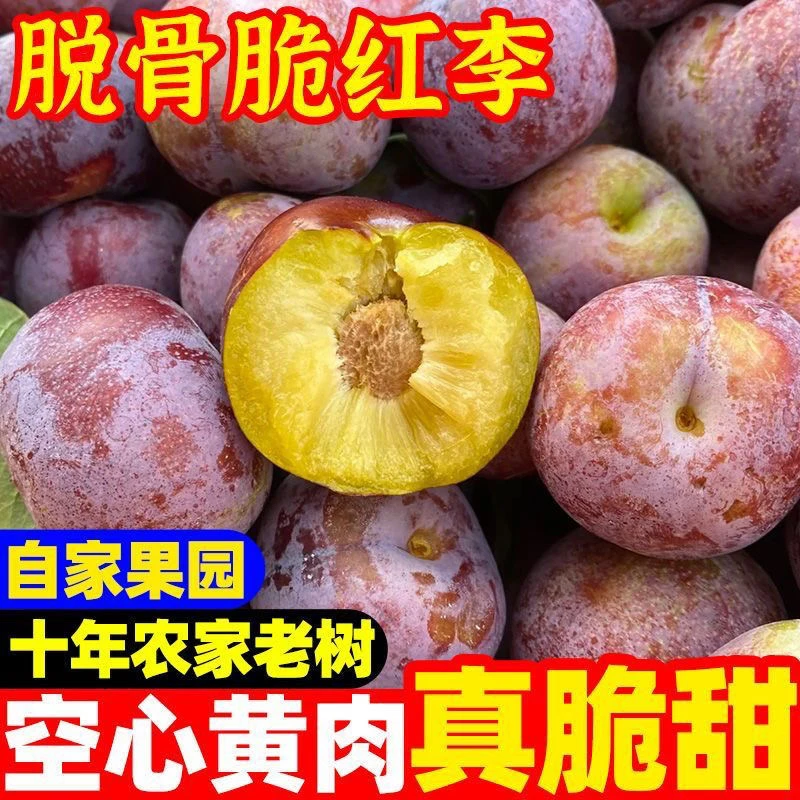 （中通快递）重庆新鲜现摘脆红李脱骨脆甜多汁爽口肉厚爽脆