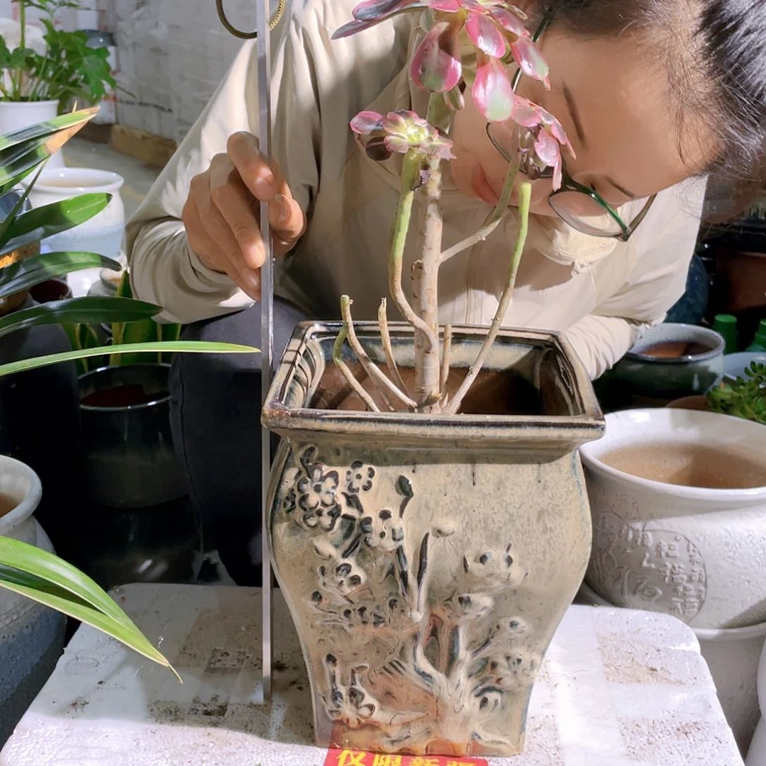 方口陶盆一个装口19.5高24