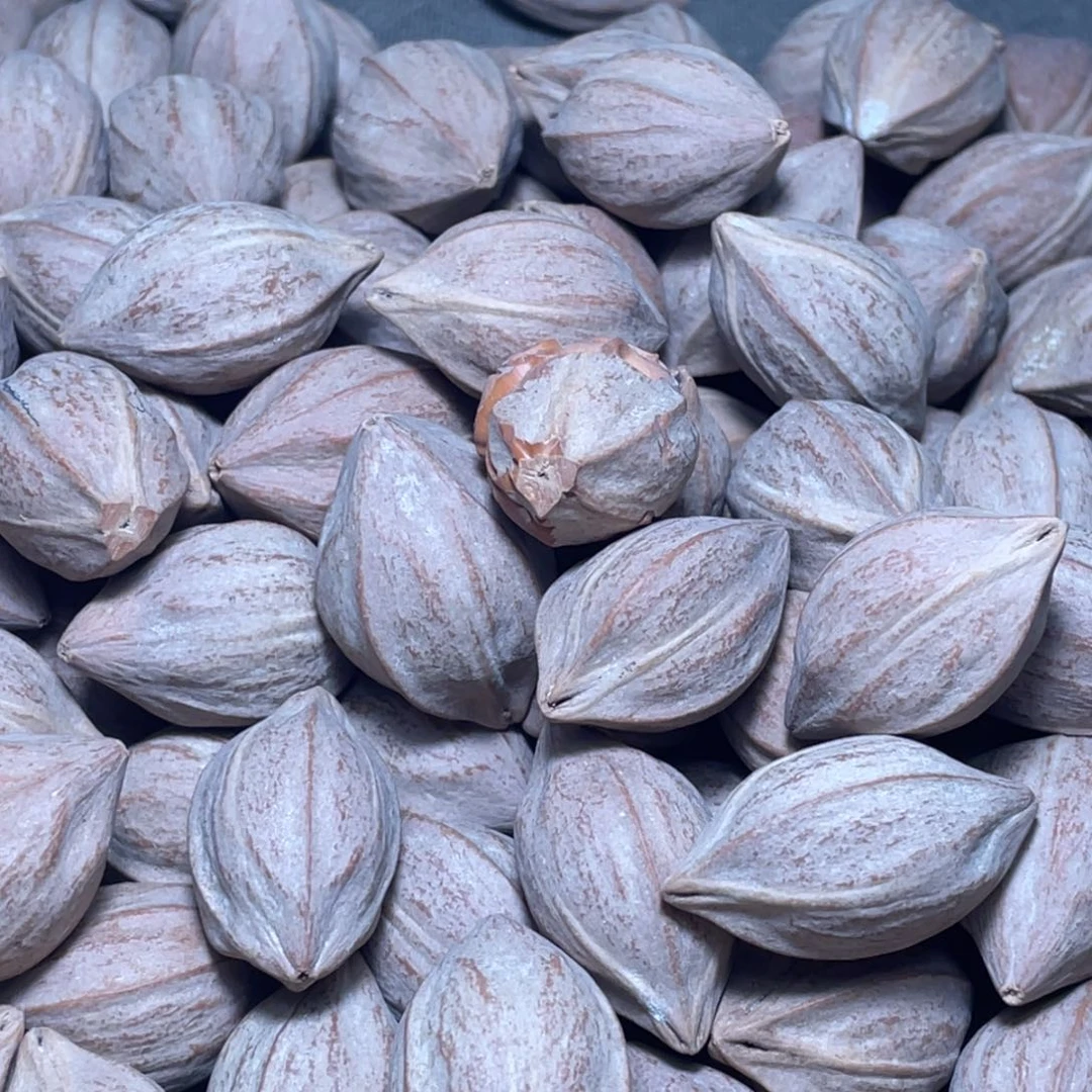 突***我橄榄核手串/手链不退不换qryi