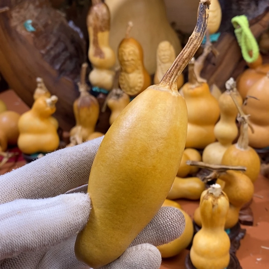 富***艺教练咯哦哦哦哦嘛