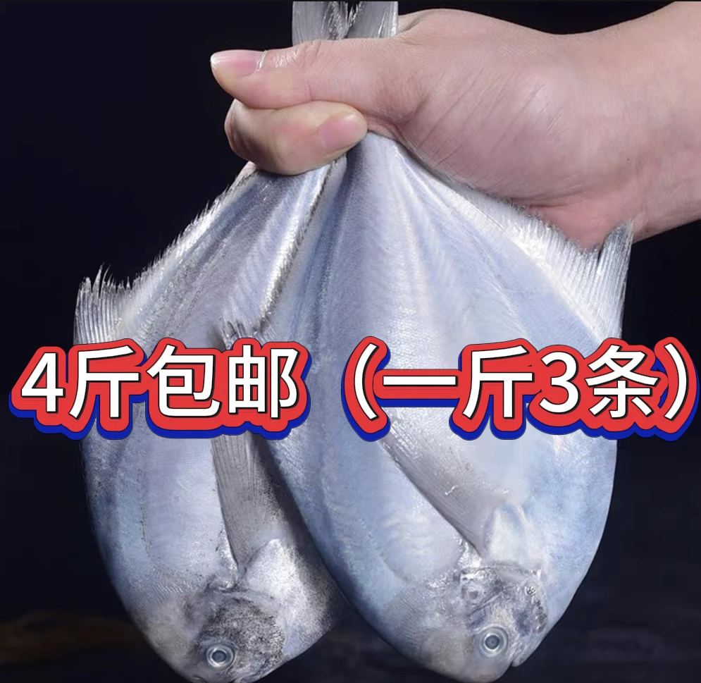 冰鲜 银鲳鱼4斤包邮（一斤3条）顺丰包邮