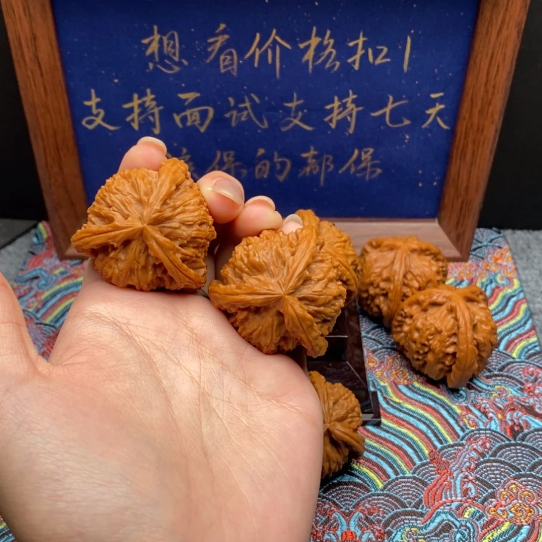 【闪购商品】斗*蛐白狮