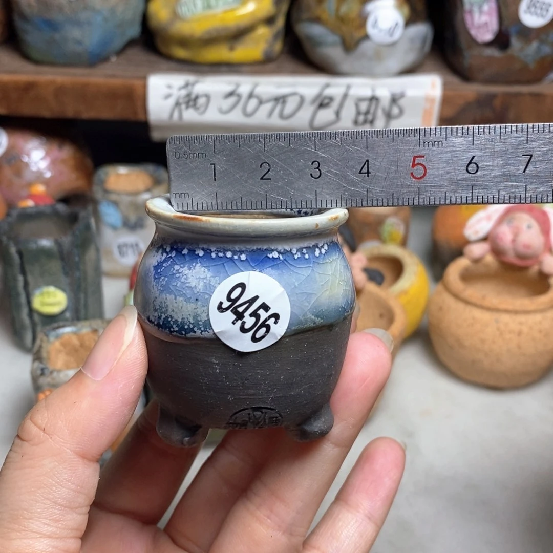 拍5送一个小礼物