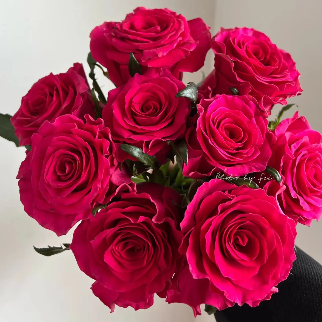 高胜玫瑰20支防损 收到先醒花拍1单发中通2单升级快递