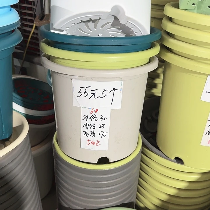 微瑕6#口径32无托果绿5个