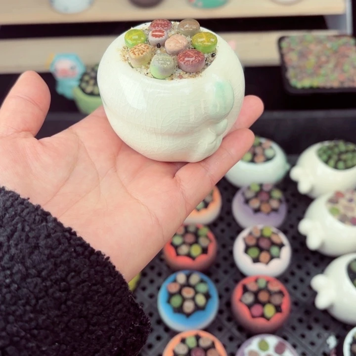 500零下地区记得拍保温箱满18包邮