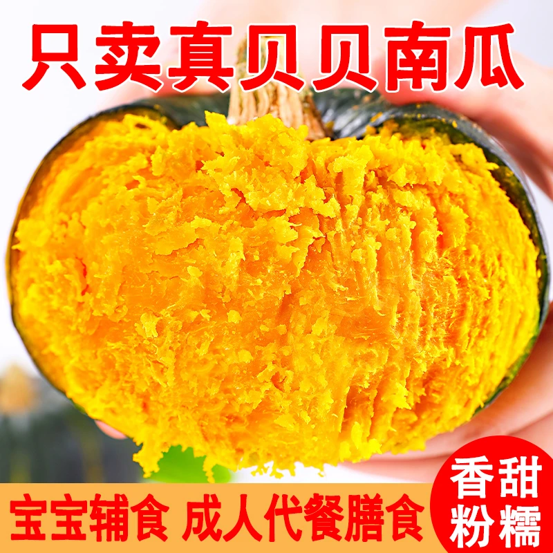 沙地贝贝南瓜板栗口感粉糯香甜新鲜孕妇儿童营养辅食蔬菜粗粮代餐