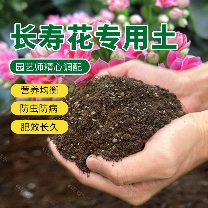 长寿花专用土花土营养土栽培土种养长寿花的土壤泥土家用盆栽花肥