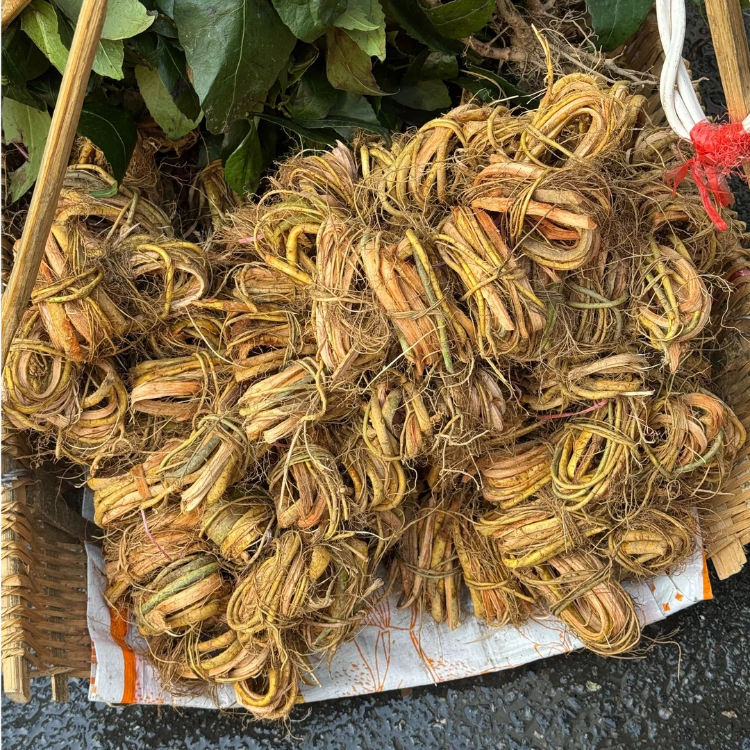 福建农家牛奶根煲汤炖鸡炖鸭炖排骨