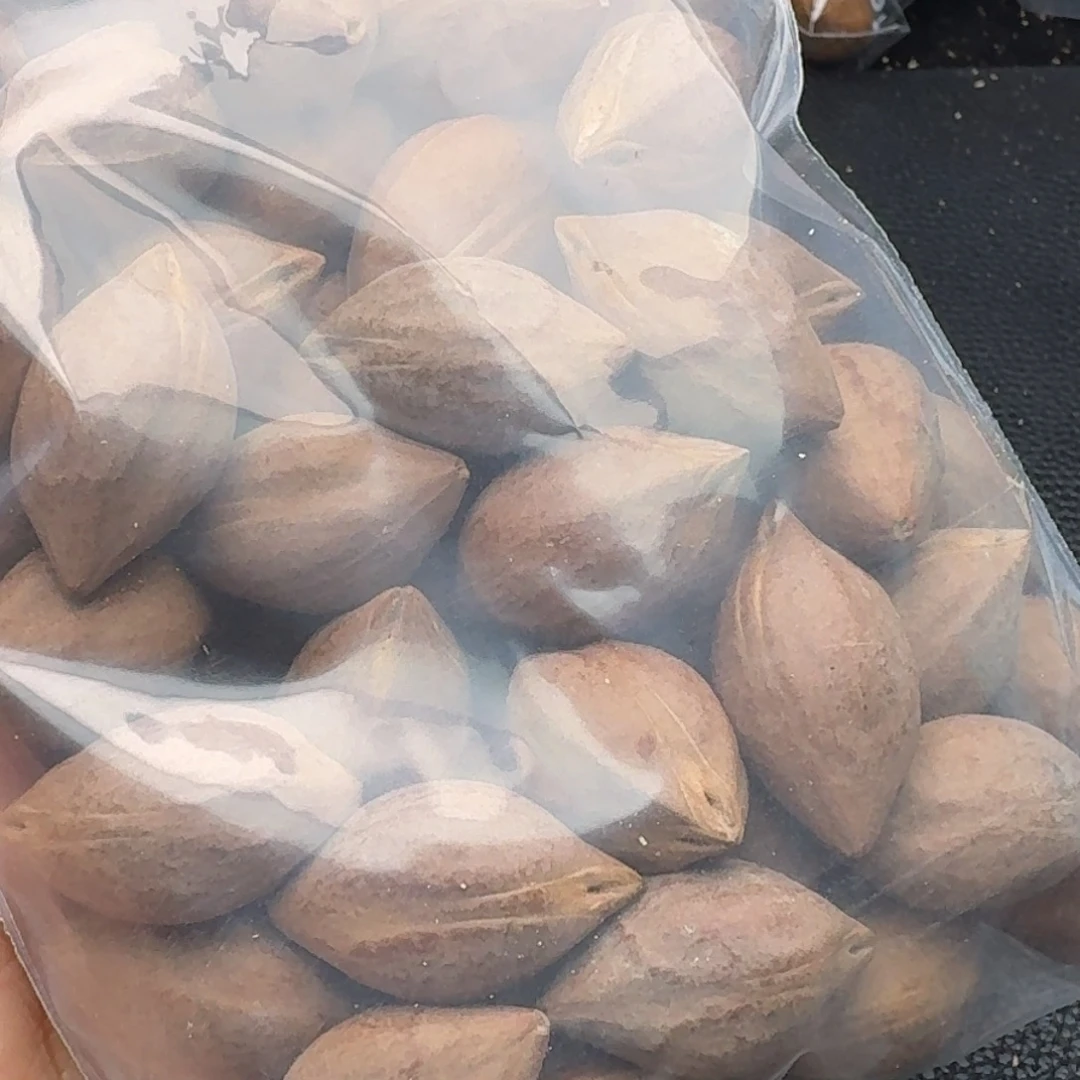 朋***6手串/手链橄榄核1