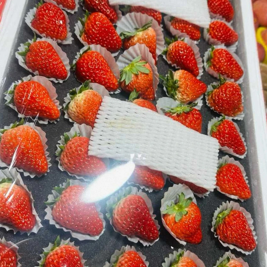 5排，丹东中果草莓一板，20g丹东草莓中国大陆