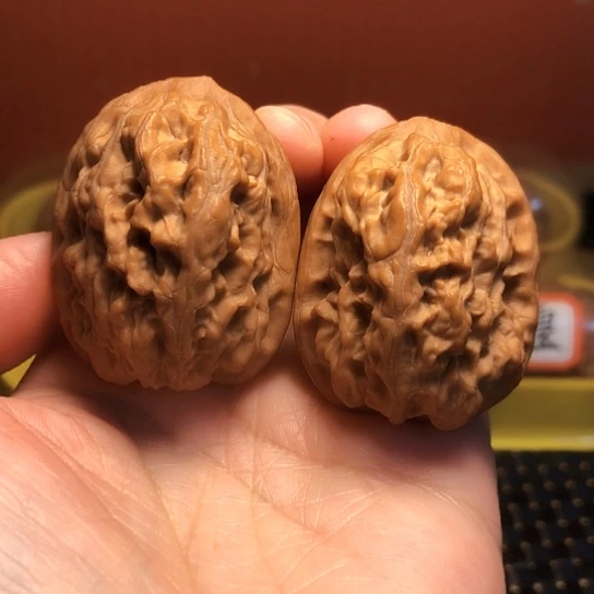 我**旅精品野生品将军榻