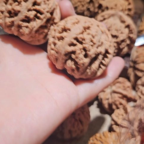 吊坠文玩核桃43粗筋