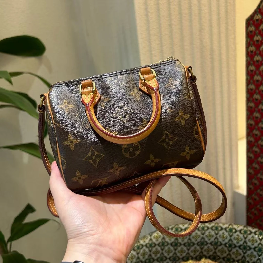 95新 LouisVuitton/路易威登 老花speedy nano枕头包