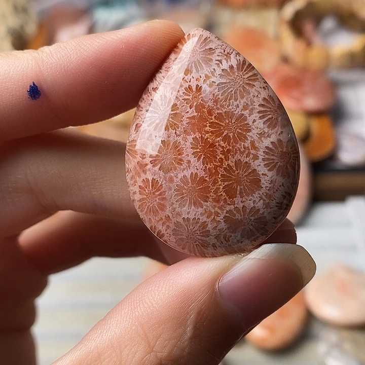 T***y硅化珊瑚未镶嵌颈饰