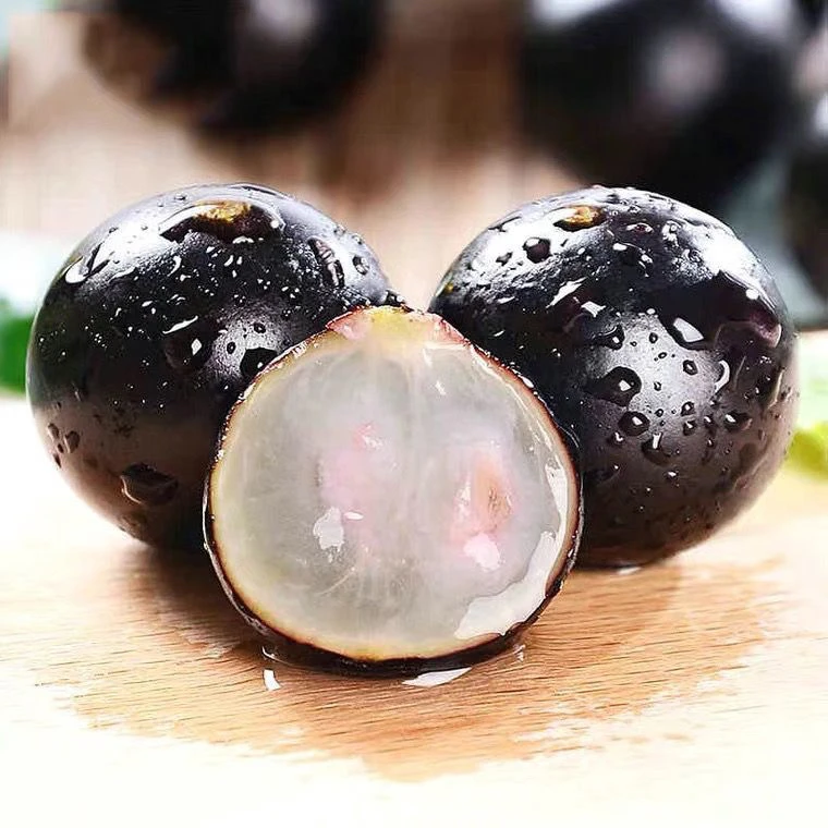 【京东顺丰速发】嘉宝果新鲜水果沙巴树葡萄鲜果孕妇稀有水果大果