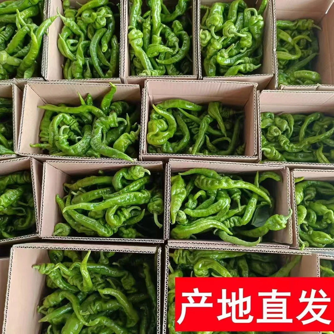 明辉推荐湘西本地菜