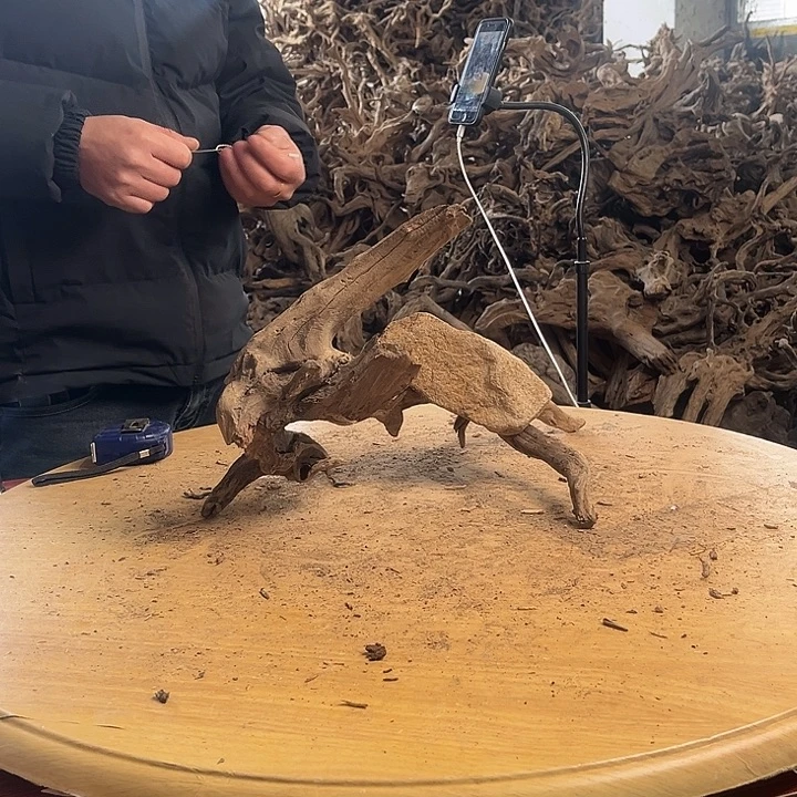 木452626 鱼缸造景根雕艺术230