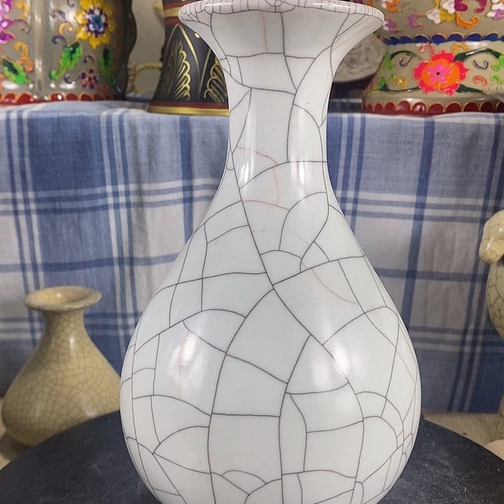 陶泽如花儿盛开了