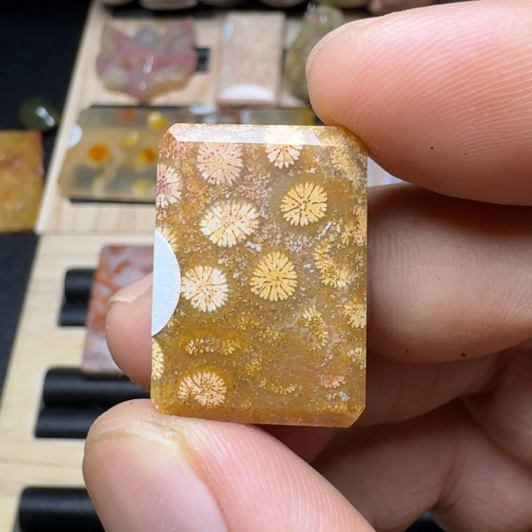 未镶嵌纯天然色有机玉石保真色硅化玉