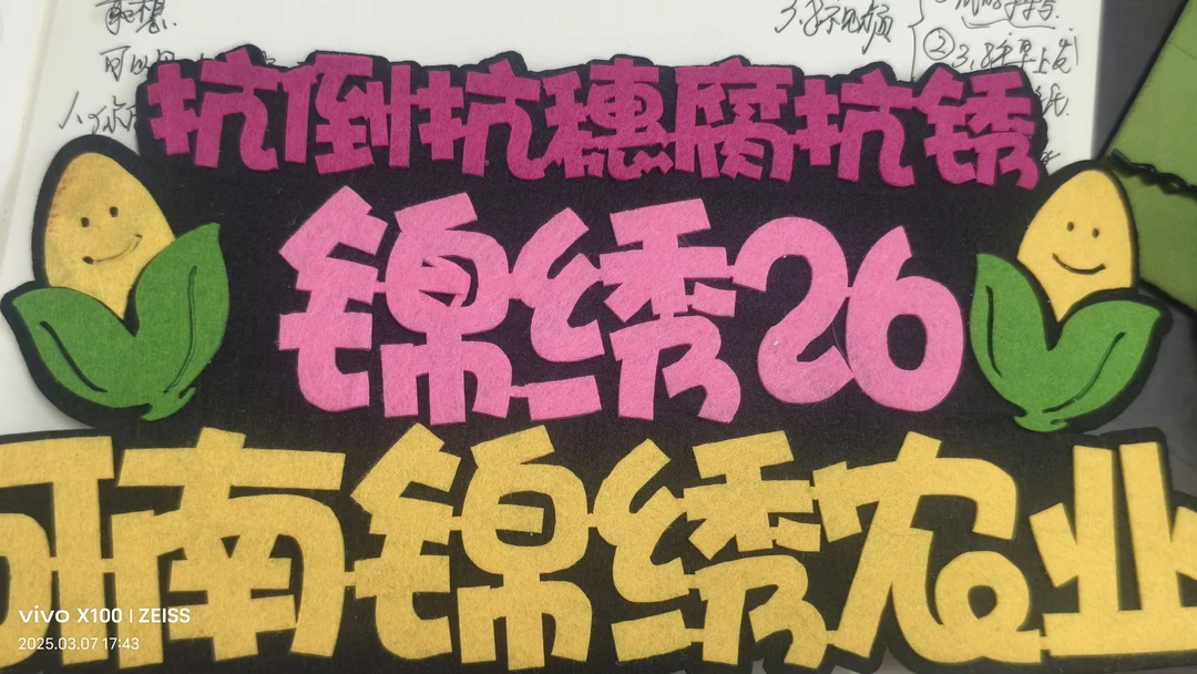 玉米小发箍专拍链接