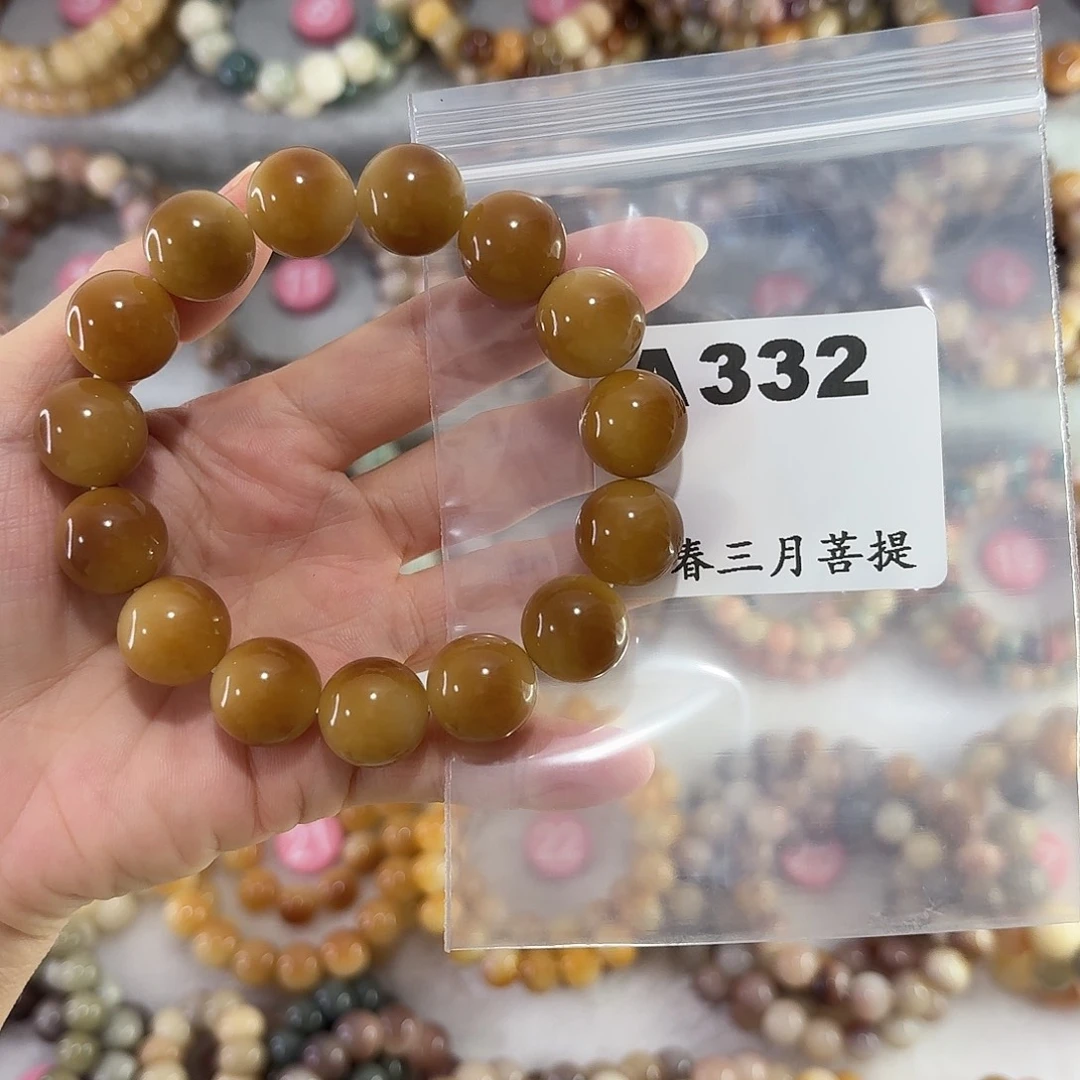 少****吊坠菩提根/象牙果