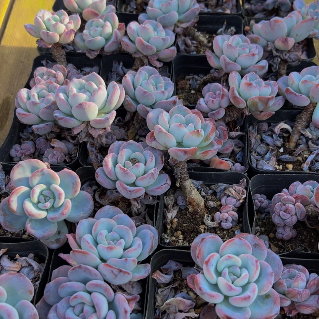 873点点滴滴方法规划和vvv