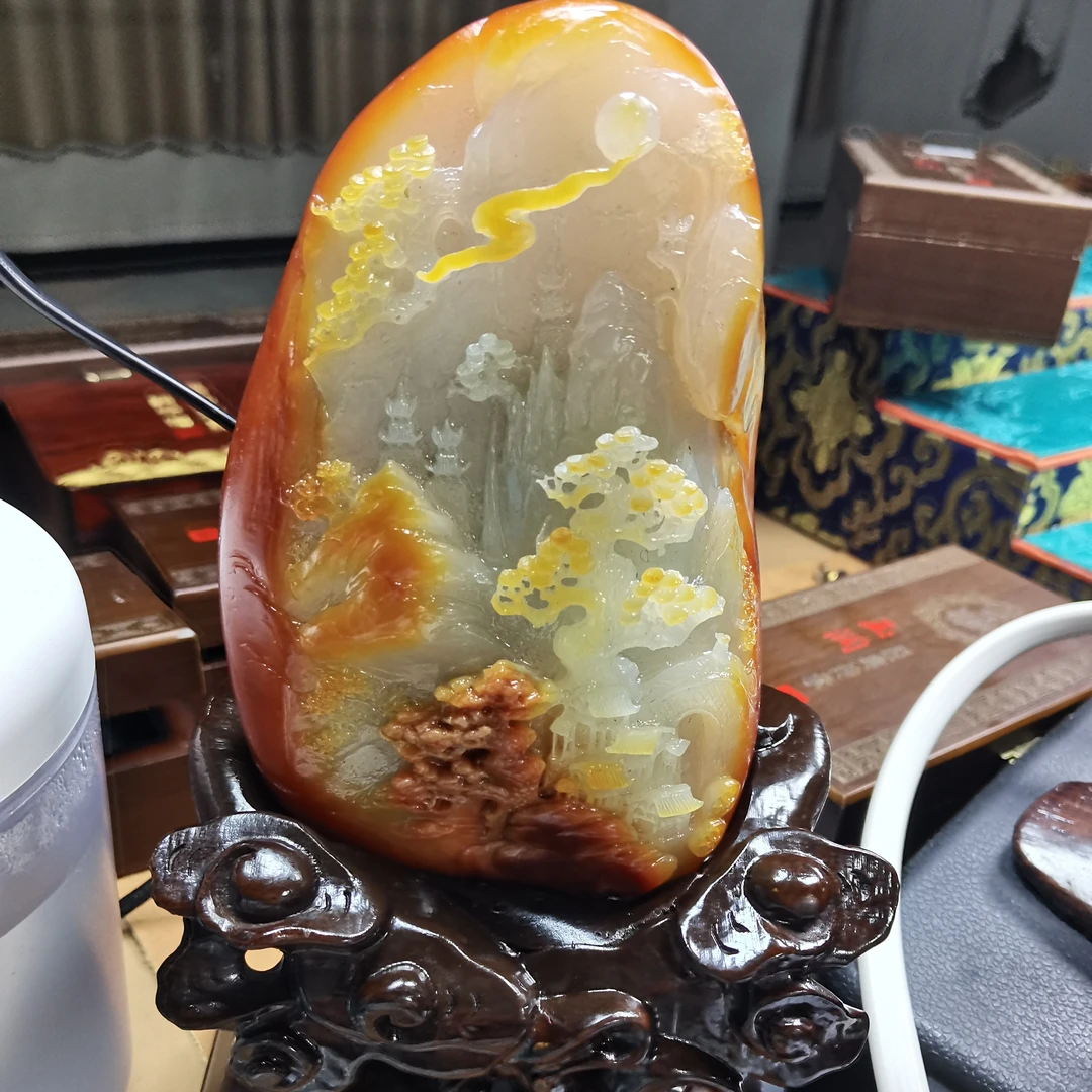 石包多样性拍一发一11月17日 J