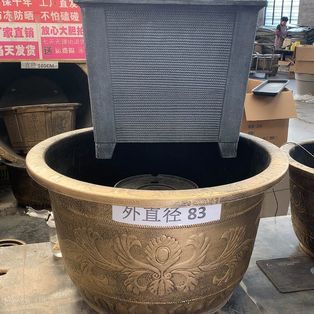 阳*花盆花开的时候