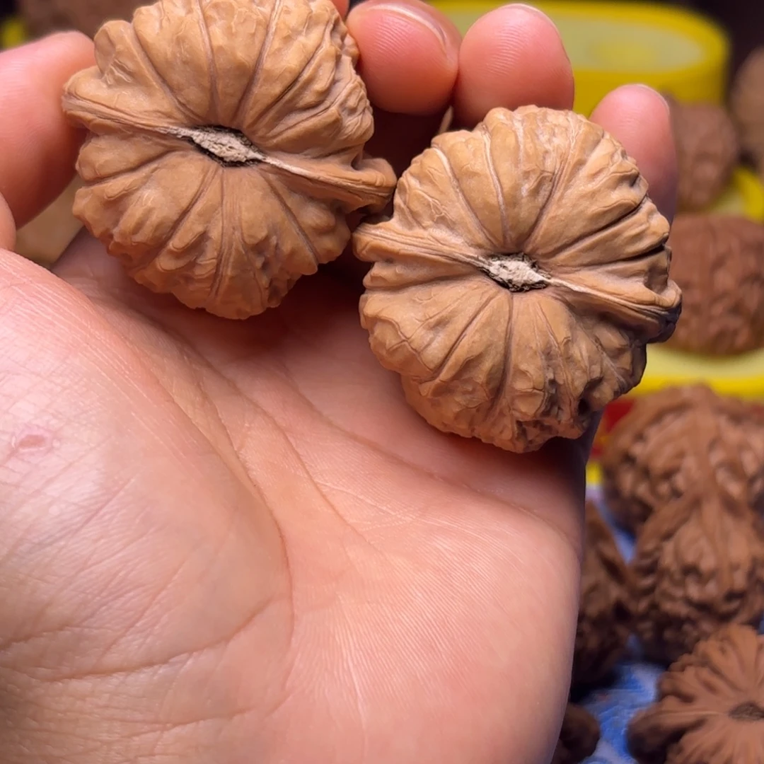 梧***桐45尺南瓜，全品，高货版