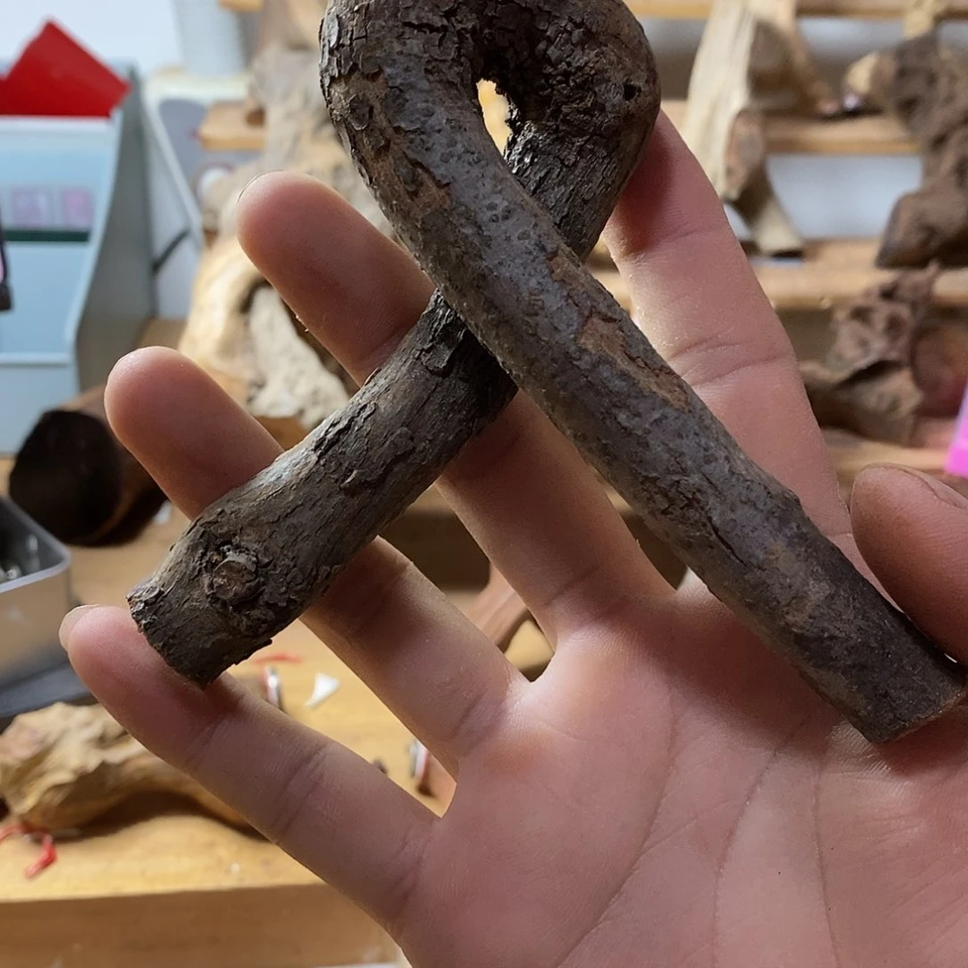 风车木（黑檀木）天**星