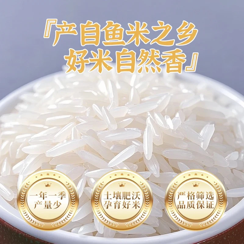 猫牙香米新米10斤20斤50斤营养丰富饱满软糯适合蛋炒饭煲仔饭