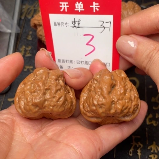 吊坠凤眼菩提文玩的好