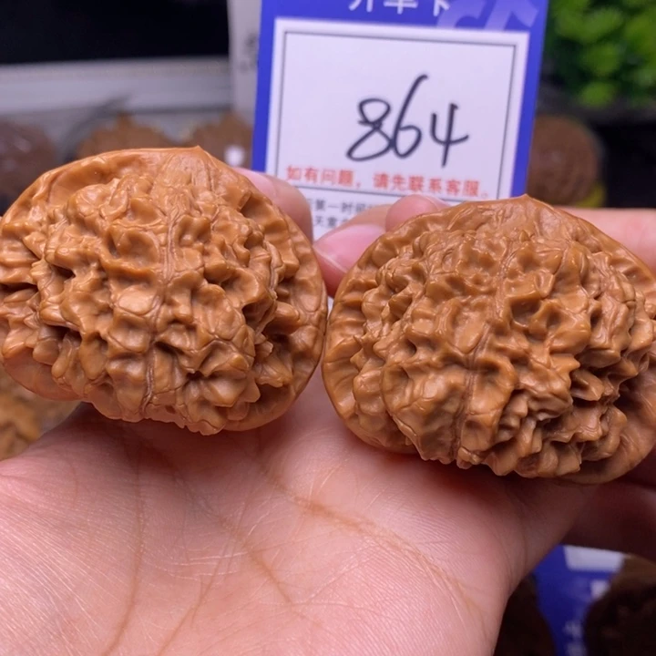 文玩核桃把件50官帽864