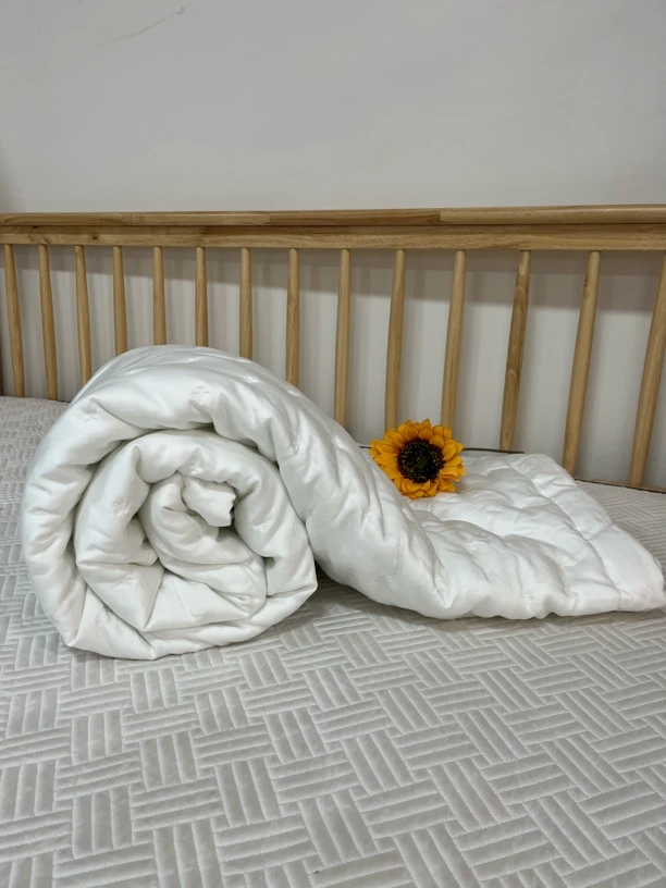 直播间样品～单人大豆被芯微瑕～D551