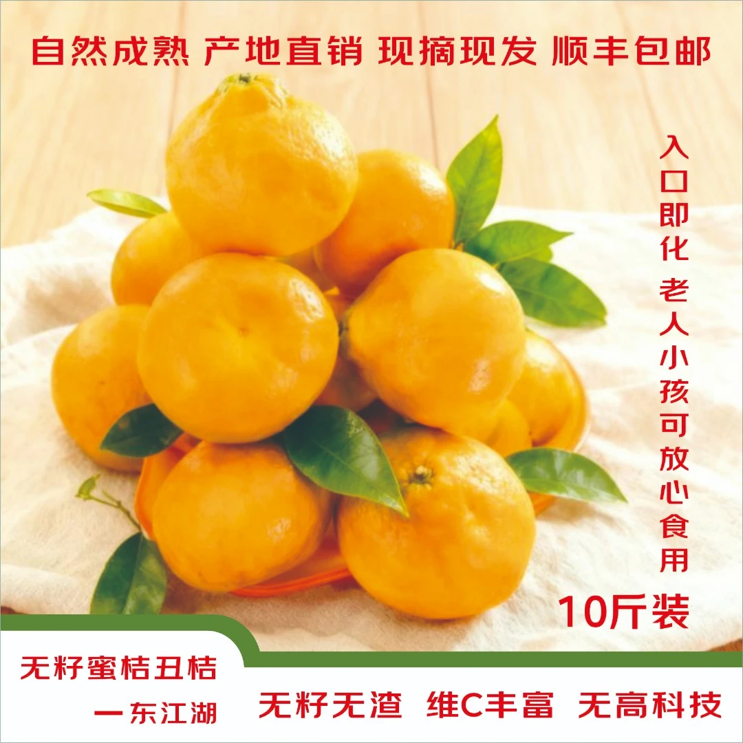 【正宗东江湖蜜桔丑桔】清江镇蜜桔子入口即化无籽桔子蜜桔现采现发