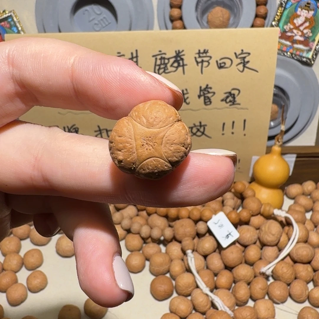 吸***人吊坠凤眼菩提吸星