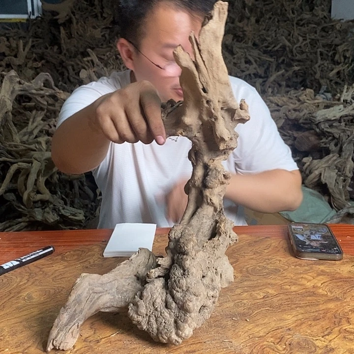 木00054号杜鹃根雕原木鱼缸摆件装饰