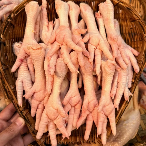 拍4斤送1斤 到手净重5斤大号新鲜鸡爪/新鲜现砍顺丰包邮