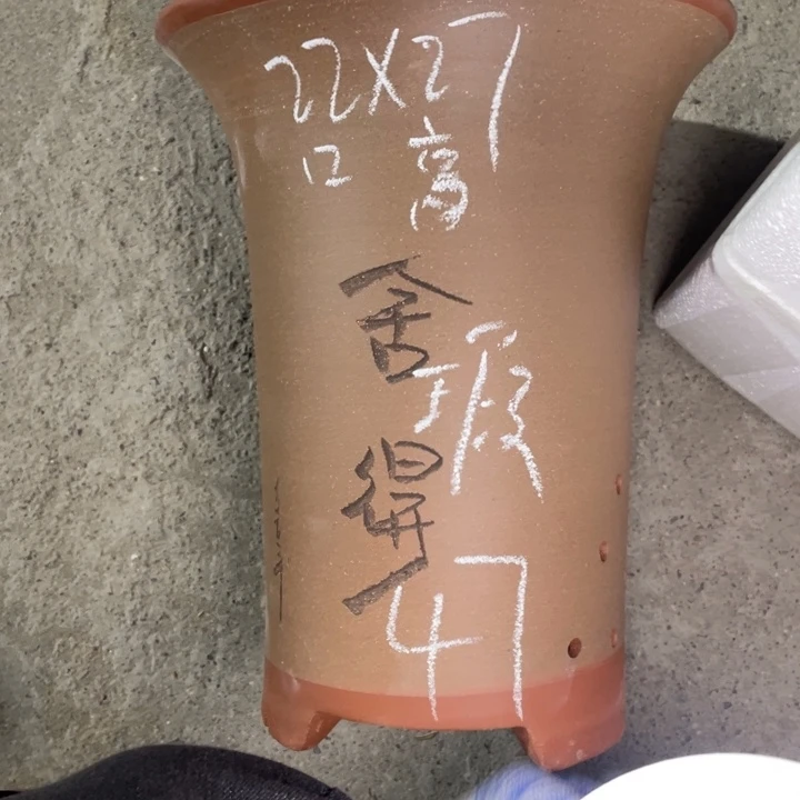 红陶紫砂紫砂紫砂