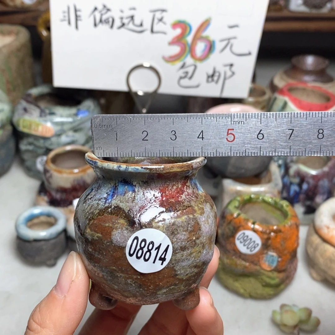 花盆拍5送一个小礼物