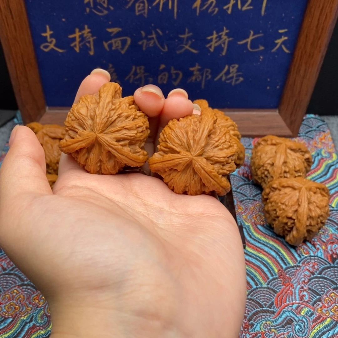 【闪购商品】王*达白狮